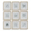 Uttermost Accessories Nature's Script Framed Botanical Prints Set of 9 House of Isabella UK