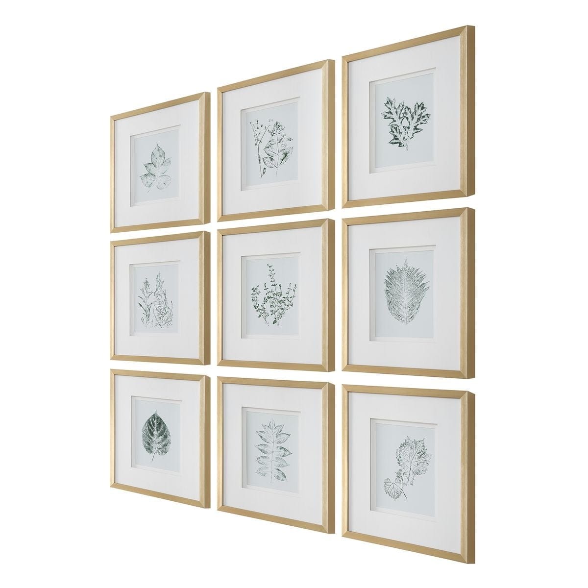 Uttermost Accessories Nature's Script Framed Botanical Prints Set of 9 House of Isabella UK
