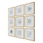 Uttermost Accessories Nature's Script Framed Botanical Prints Set of 9 House of Isabella UK