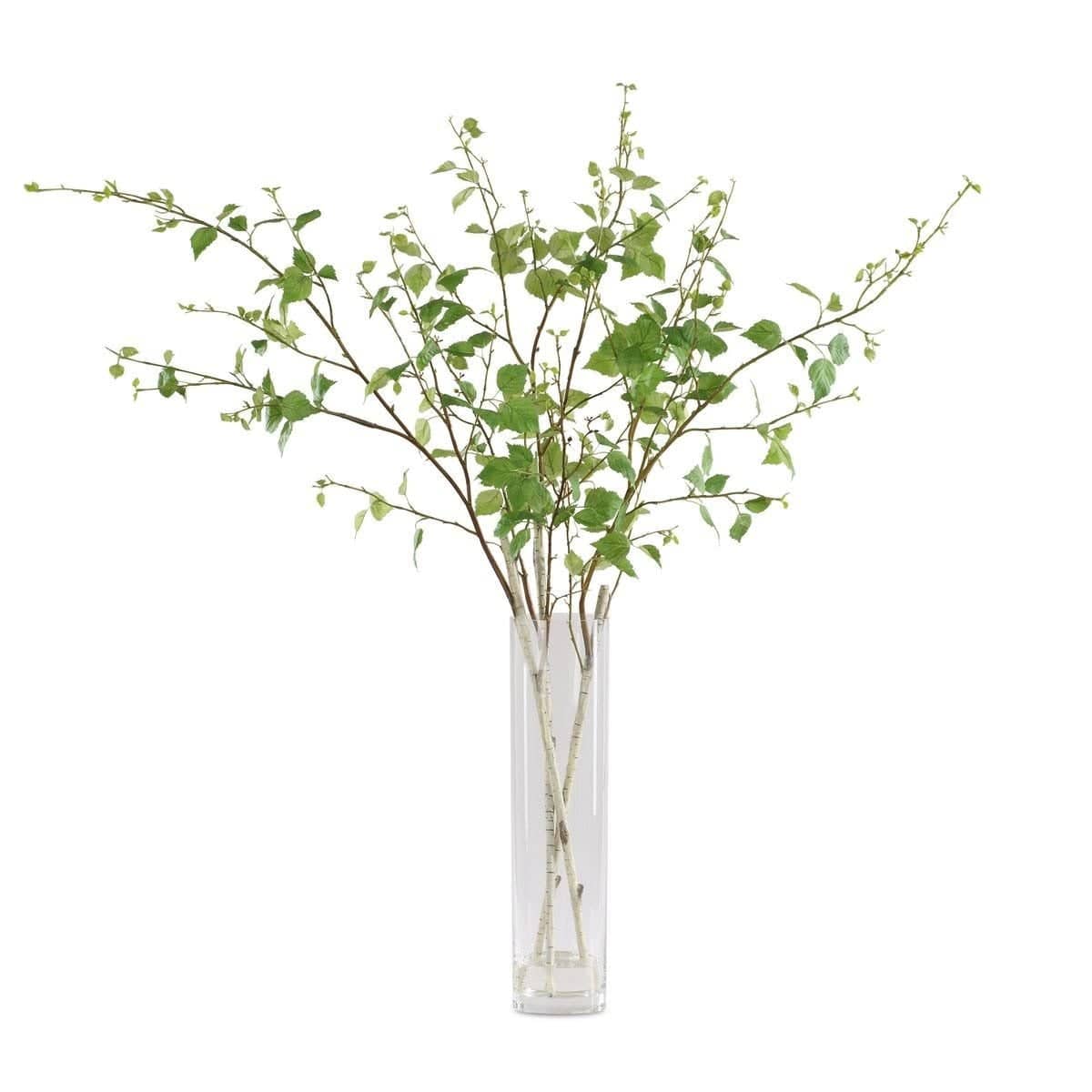 Uttermost Accessories Nigra Birch Vase Centerpiece House of Isabella UK
