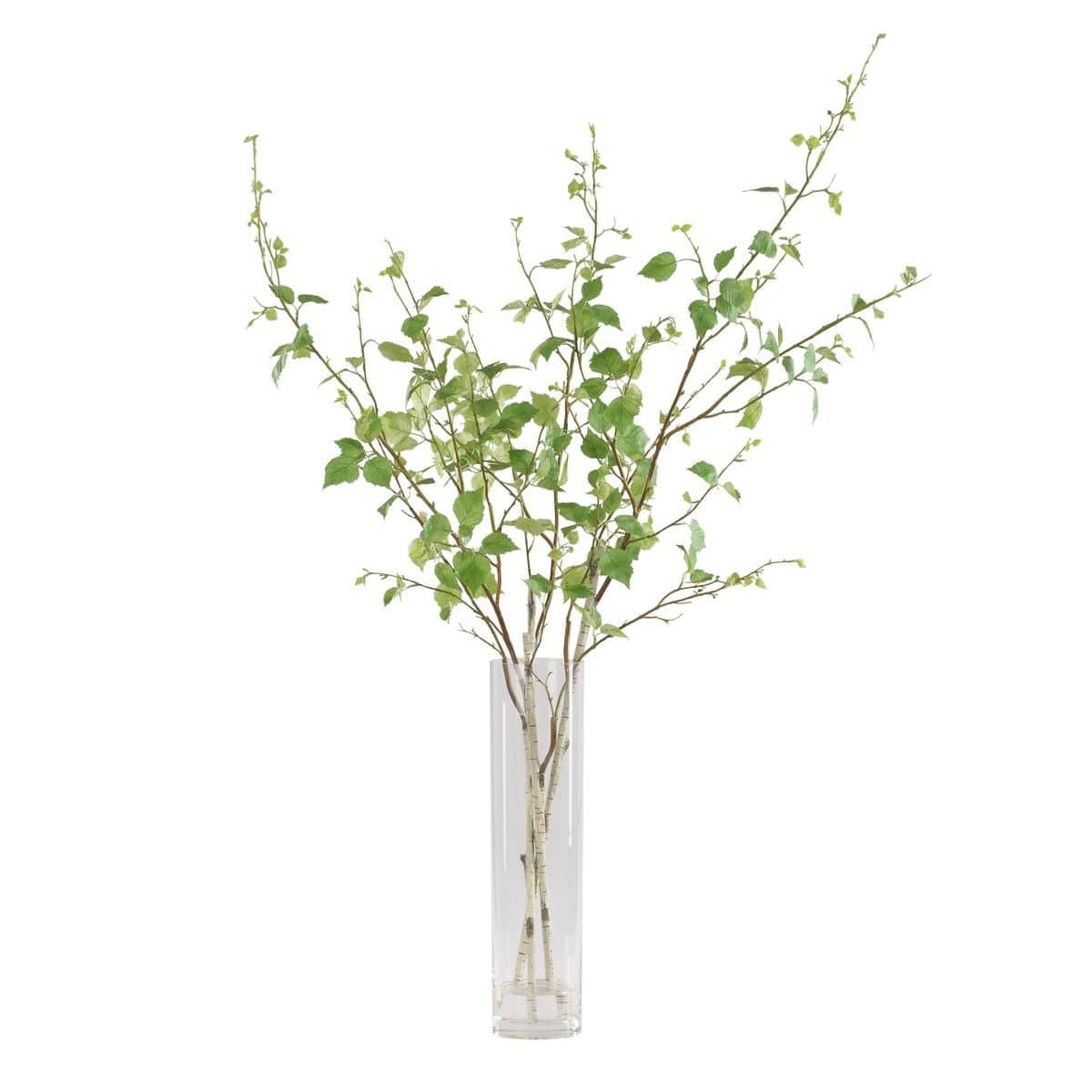 Uttermost Accessories Nigra Birch Vase Centerpiece House of Isabella UK