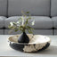 Uttermost Accessories Nouveau Indoor-Outdoor Bowl House of Isabella UK