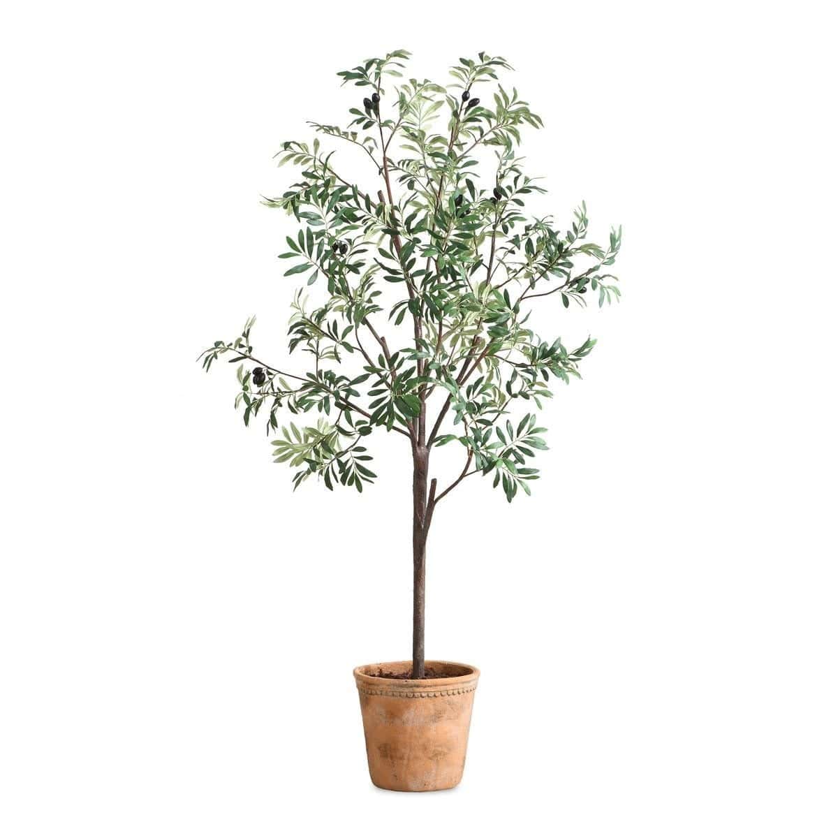 Uttermost Accessories Olea Potted Olive Tree House of Isabella UK