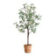Uttermost Accessories Olea Potted Olive Tree House of Isabella UK