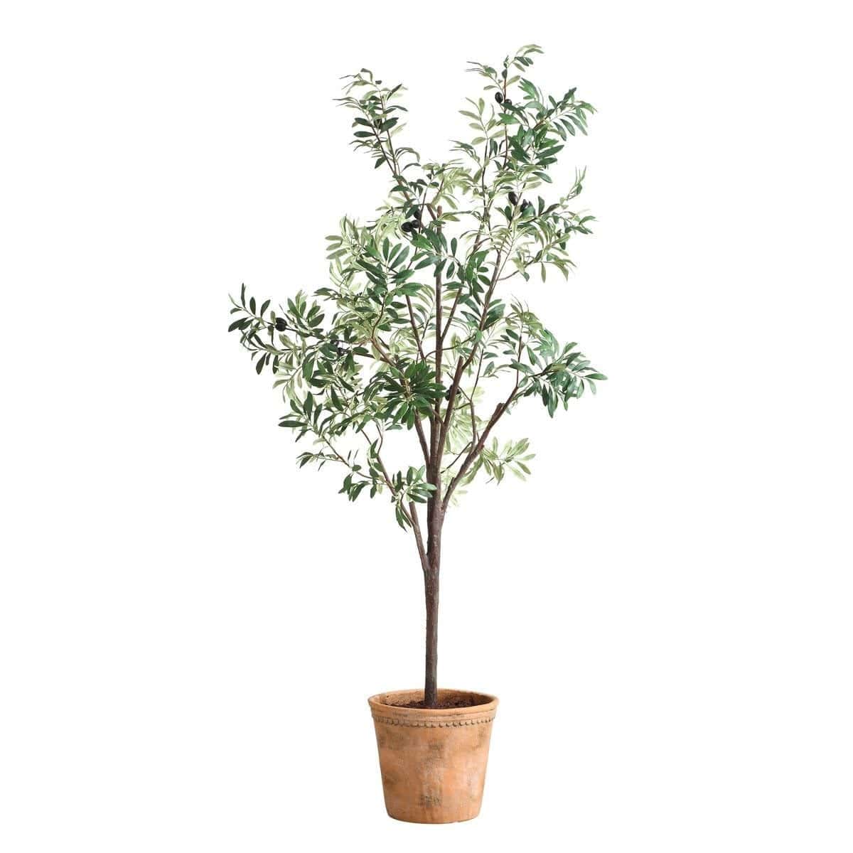 Uttermost Accessories Olea Potted Olive Tree House of Isabella UK
