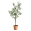 Uttermost Accessories Olea Potted Olive Tree House of Isabella UK