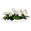 Uttermost Accessories Opulence Orchid House of Isabella UK