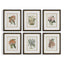 Uttermost Accessories Orchid Botanical Framed Prints Set of 6 House of Isabella UK