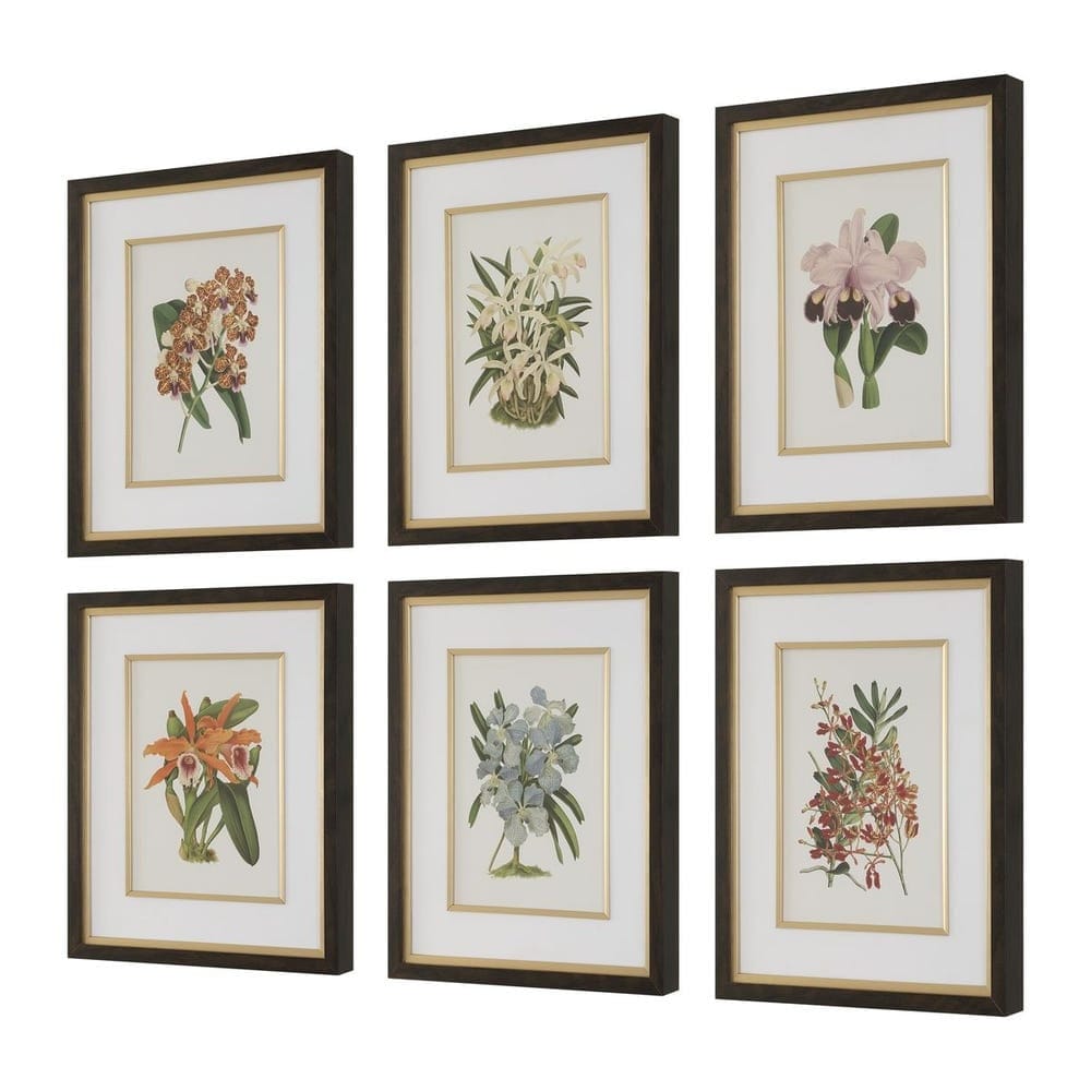 Uttermost Accessories Orchid Botanical Framed Prints Set of 6 House of Isabella UK
