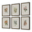 Uttermost Accessories Orchid Botanical Framed Prints Set of 6 House of Isabella UK