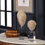 Uttermost Accessories Oyster Shell Sculptures, Set of 2 House of Isabella UK