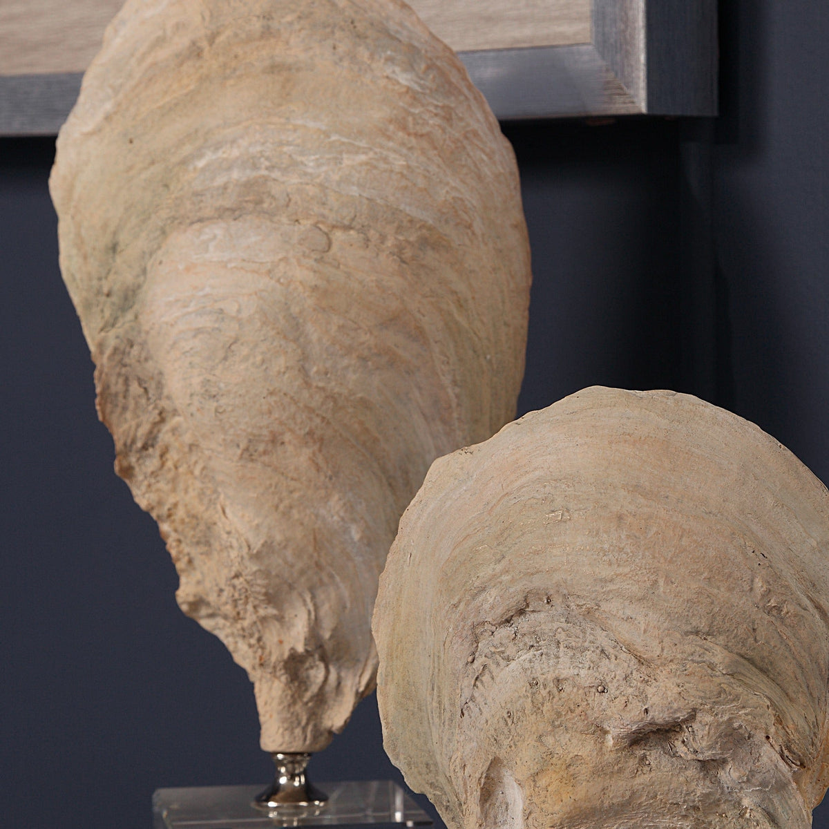 Uttermost Accessories Oyster Shell Sculptures, Set of 2 House of Isabella UK