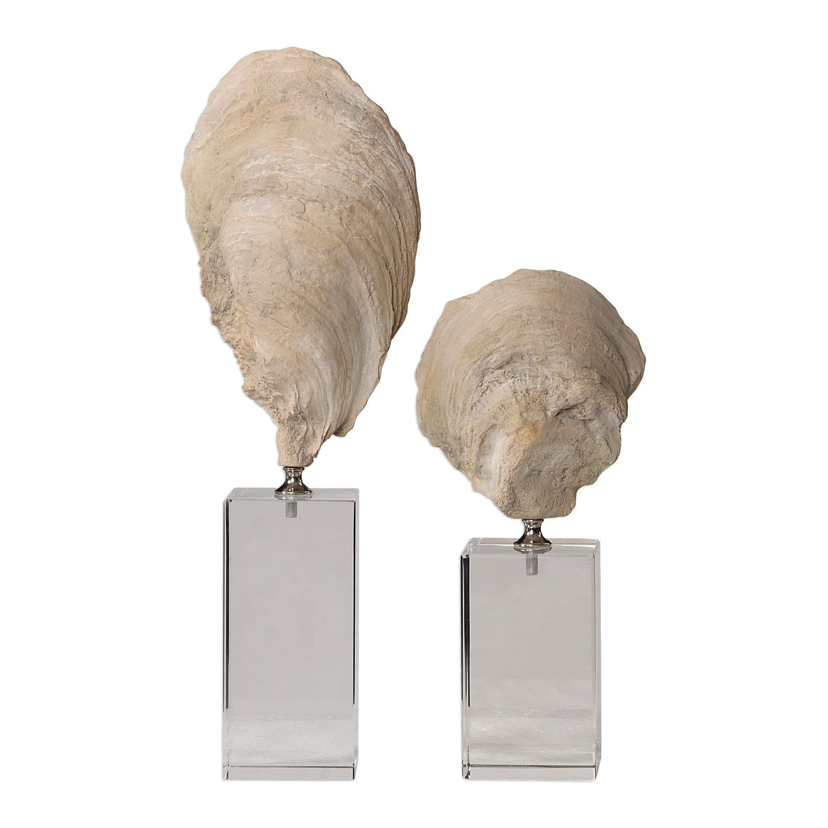 Uttermost Accessories Oyster Shell Sculptures, Set of 2 House of Isabella UK