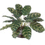 Uttermost Accessories Peacock Plant Accent House of Isabella UK