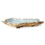 Uttermost Accessories Pearl Forest Bowl in Blue Capiz House of Isabella UK