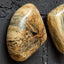 Uttermost Accessories Pebbles Blonde Wood Wall Décor - Set of 9 House of Isabella UK