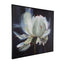 Uttermost Accessories Peony Framed Canvas House of Isabella UK