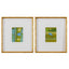 Uttermost Accessories Petite Bijoux Framed Canvases - Lime, S/2 House of Isabella UK