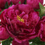 Uttermost Accessories Prima Peony Bouquet House of Isabella UK