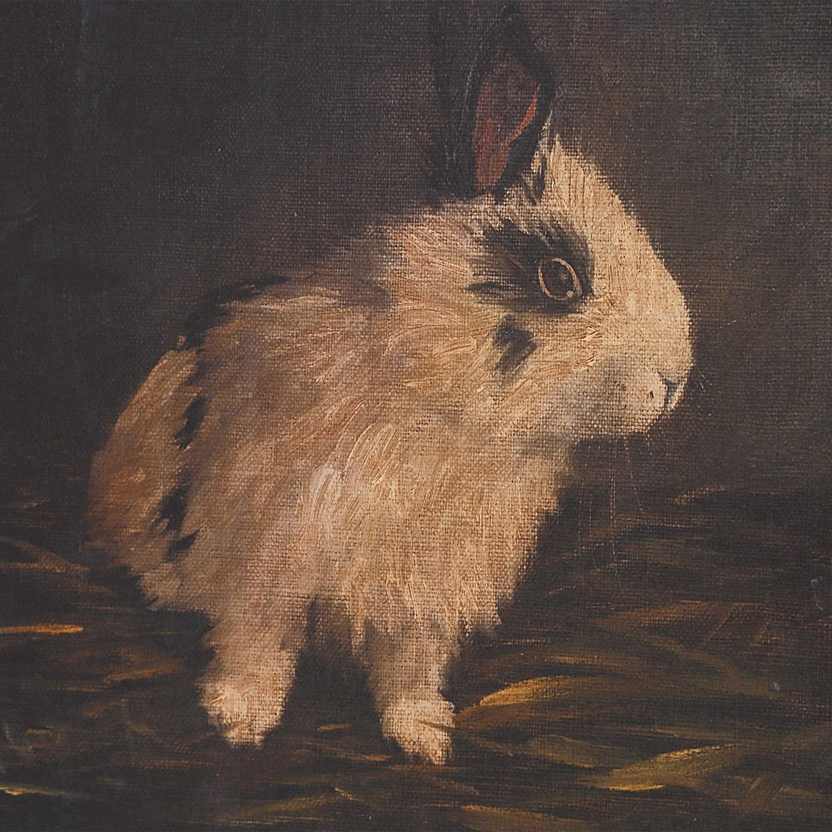 Uttermost Accessories Resting Bunny Framed Prints Set of 9 House of Isabella UK