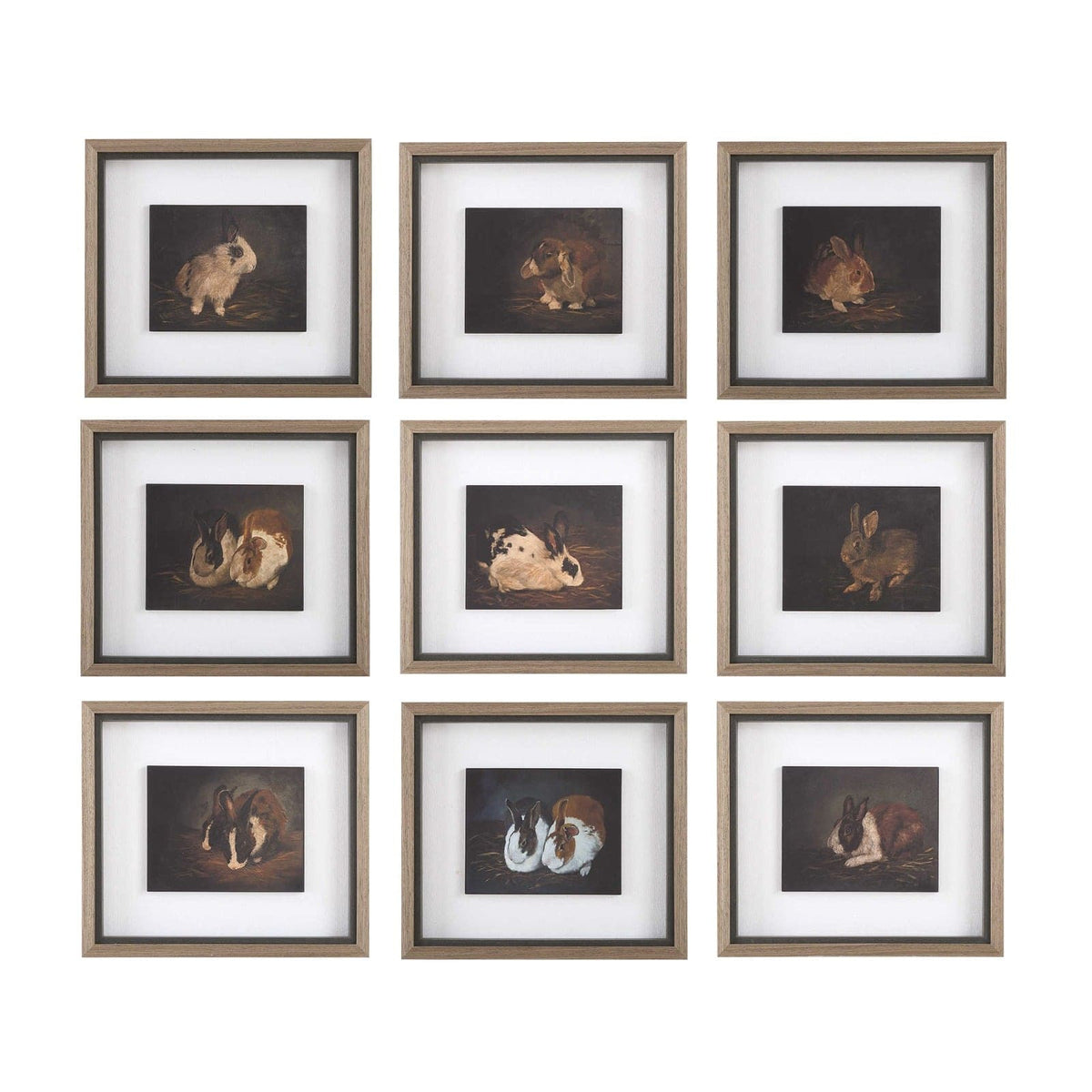 Uttermost Accessories Resting Bunny Framed Prints Set of 9 House of Isabella UK