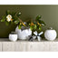 Uttermost Accessories Rondure Vase - Large House of Isabella UK