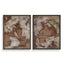 Uttermost Accessories Rush & Dash Framed Prints, Set of 2 House of Isabella UK
