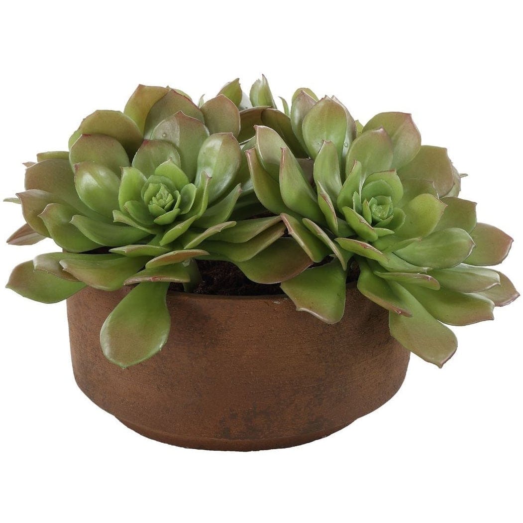 Uttermost Accessories Sable Succulent Accent In Pot House of Isabella UK