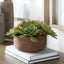 Uttermost Accessories Sable Succulent Accent In Pot House of Isabella UK