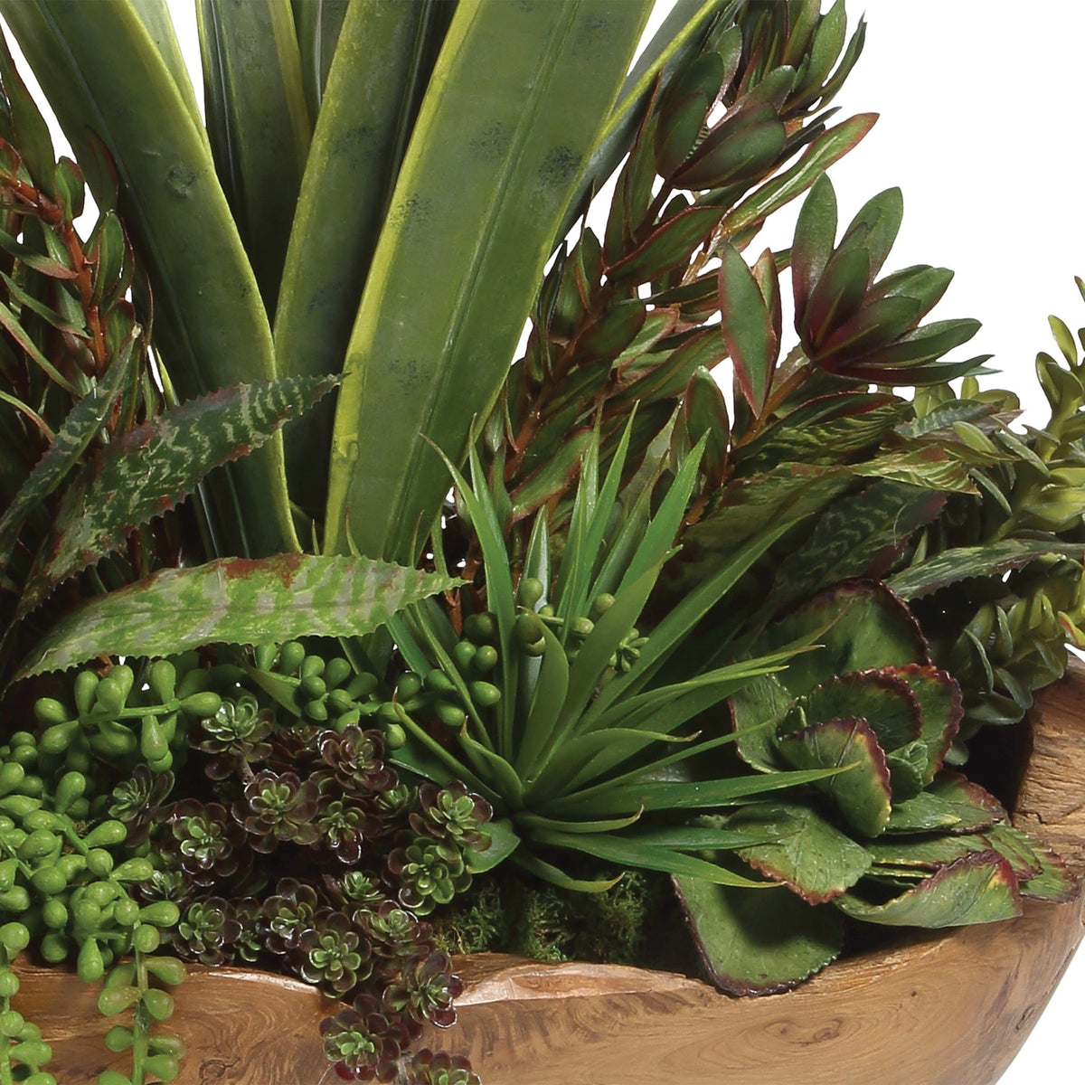Uttermost Accessories Salar Succulents In Teak Bowl House of Isabella UK