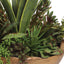 Uttermost Accessories Salar Succulents In Teak Bowl House of Isabella UK