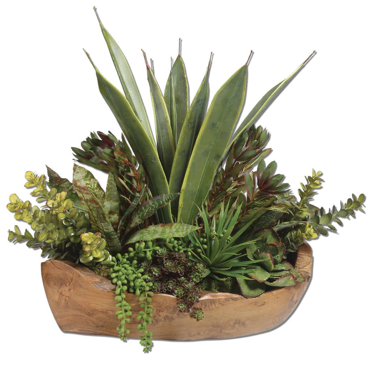 Uttermost Accessories Salar Succulents In Teak Bowl House of Isabella UK