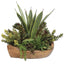 Uttermost Accessories Salar Succulents In Teak Bowl House of Isabella UK
