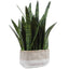 Uttermost Accessories Sansera Snake Accent Plant House of Isabella UK