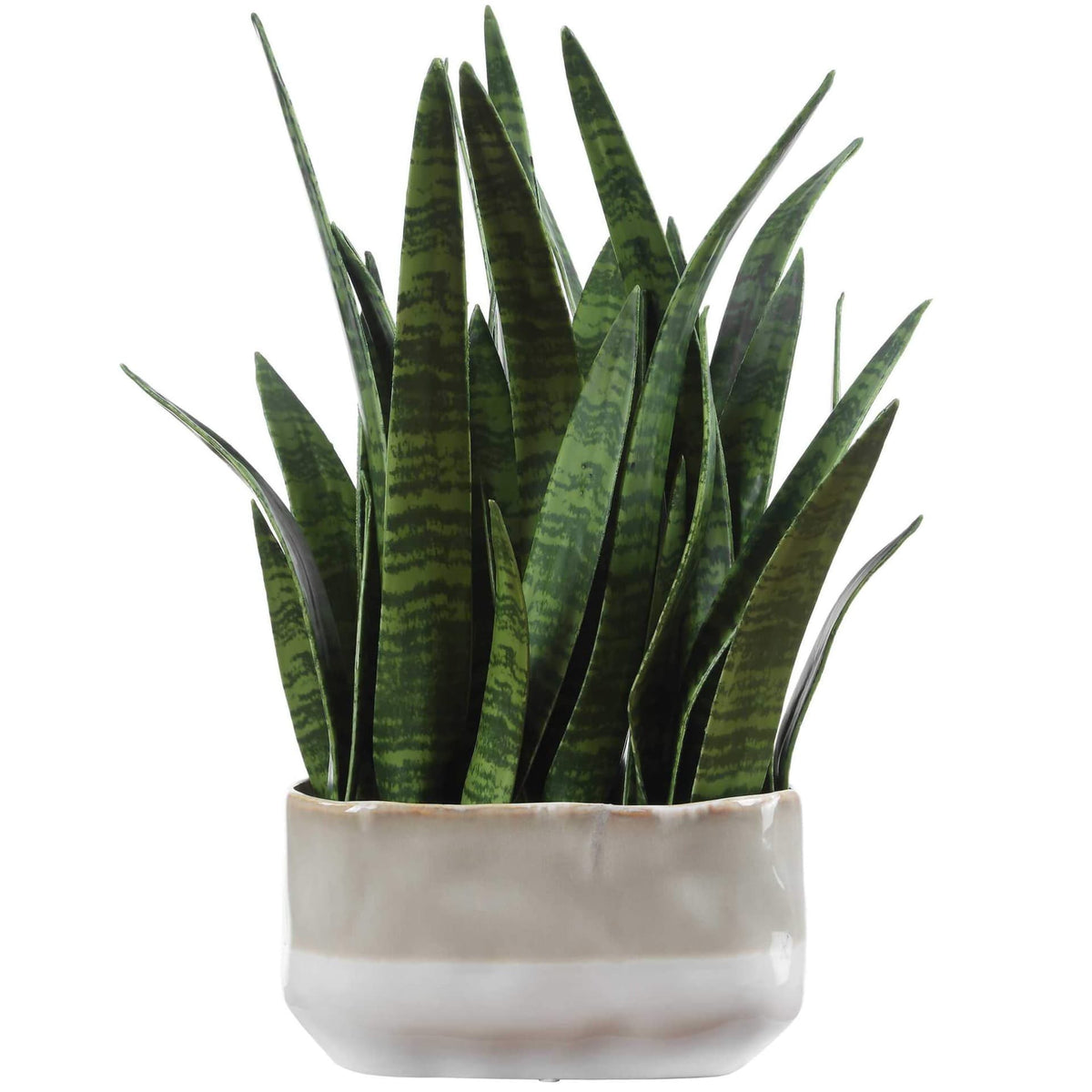 Uttermost Accessories Sansera Snake Accent Plant House of Isabella UK