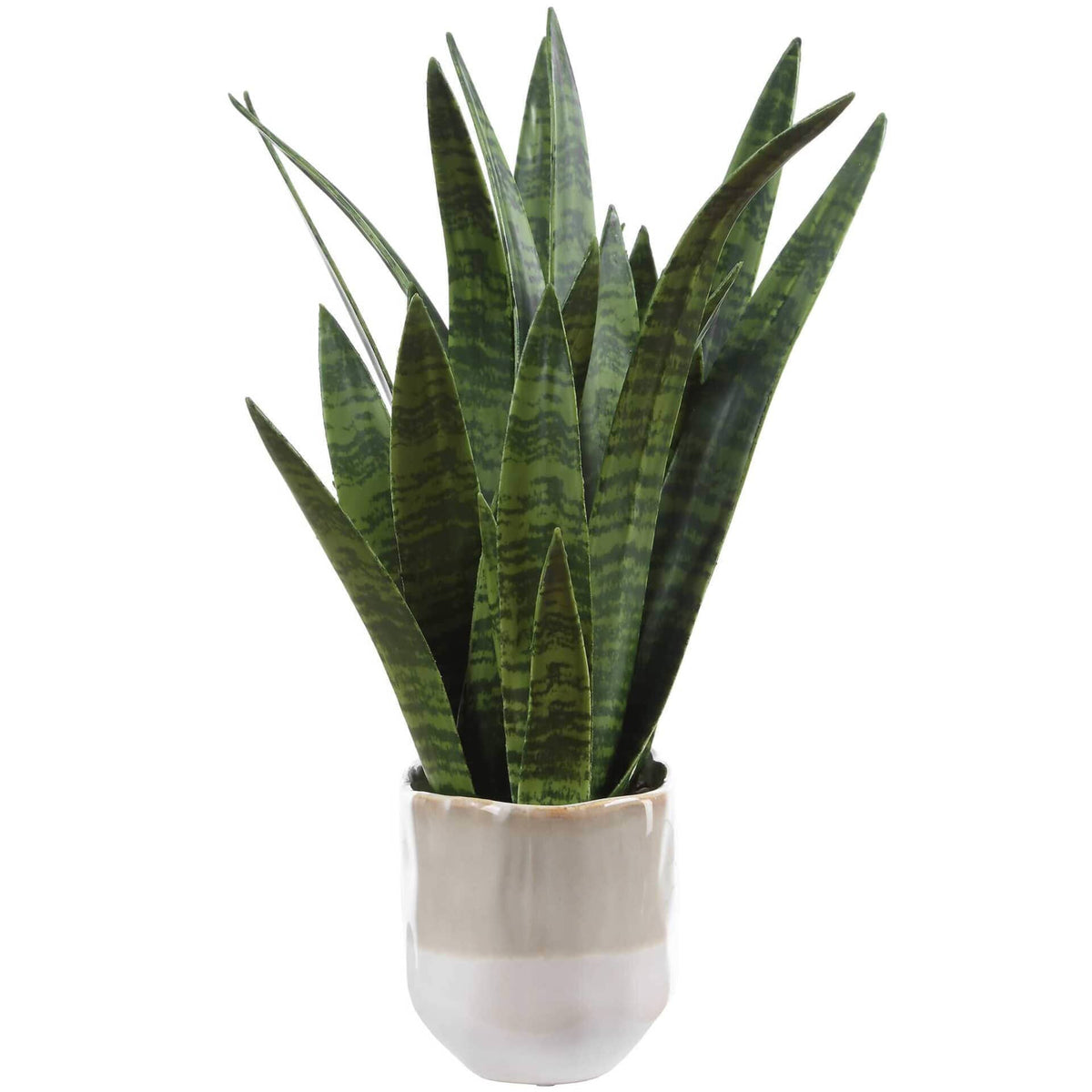 Uttermost Accessories Sansera Snake Accent Plant House of Isabella UK