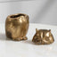 Uttermost Accessories Screech Owl Decorative Storage Box House of Isabella UK