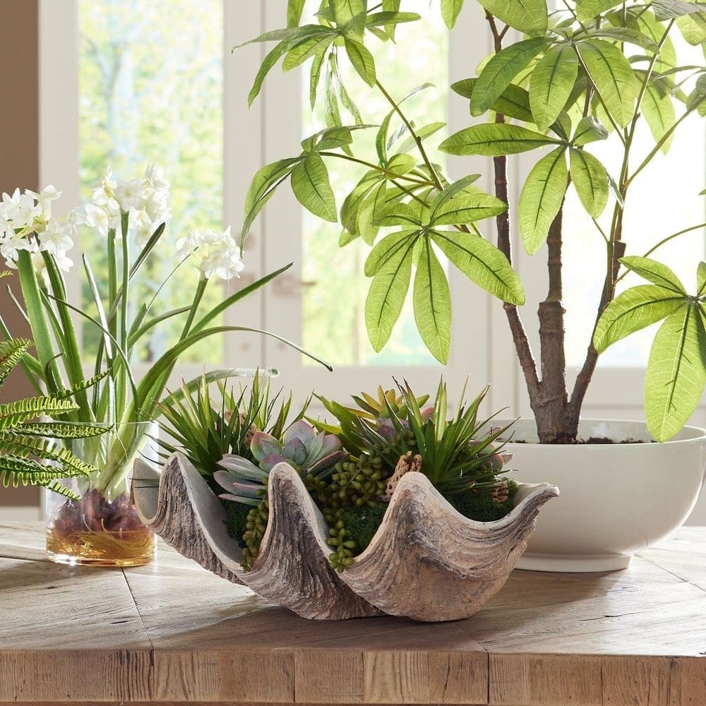 Uttermost Accessories Seaside Breeze Succulents House of Isabella UK