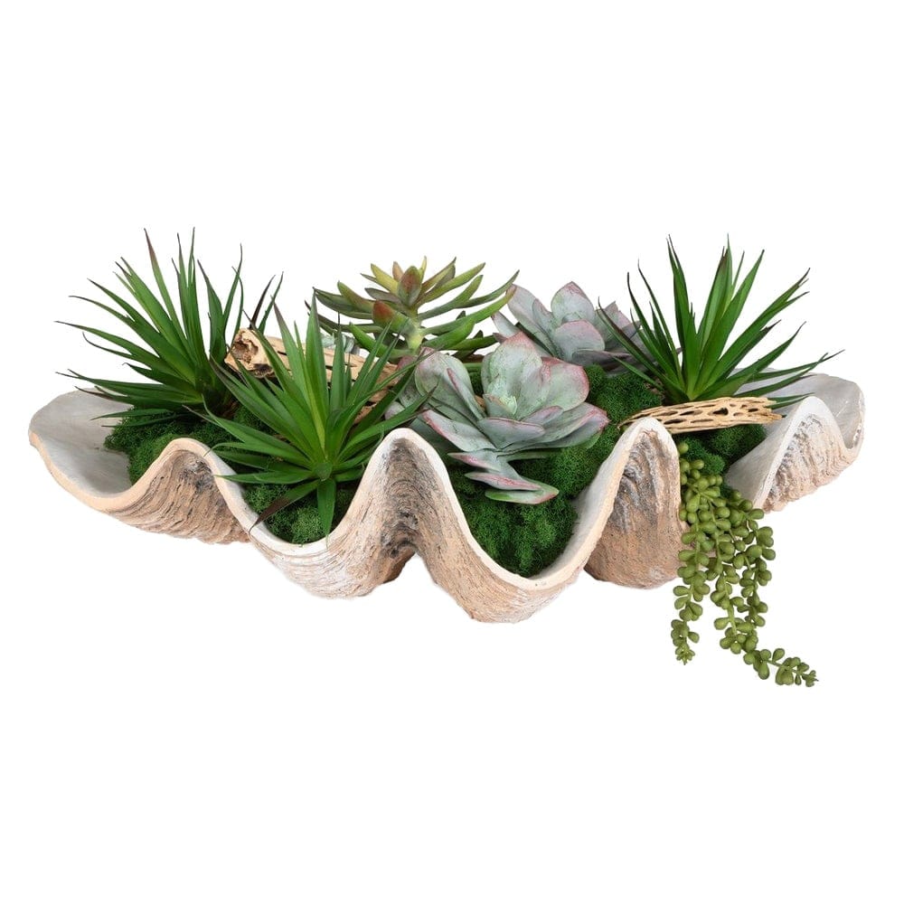 Uttermost Accessories Seaside Breeze Succulents House of Isabella UK