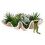 Uttermost Accessories Seaside Breeze Succulents House of Isabella UK