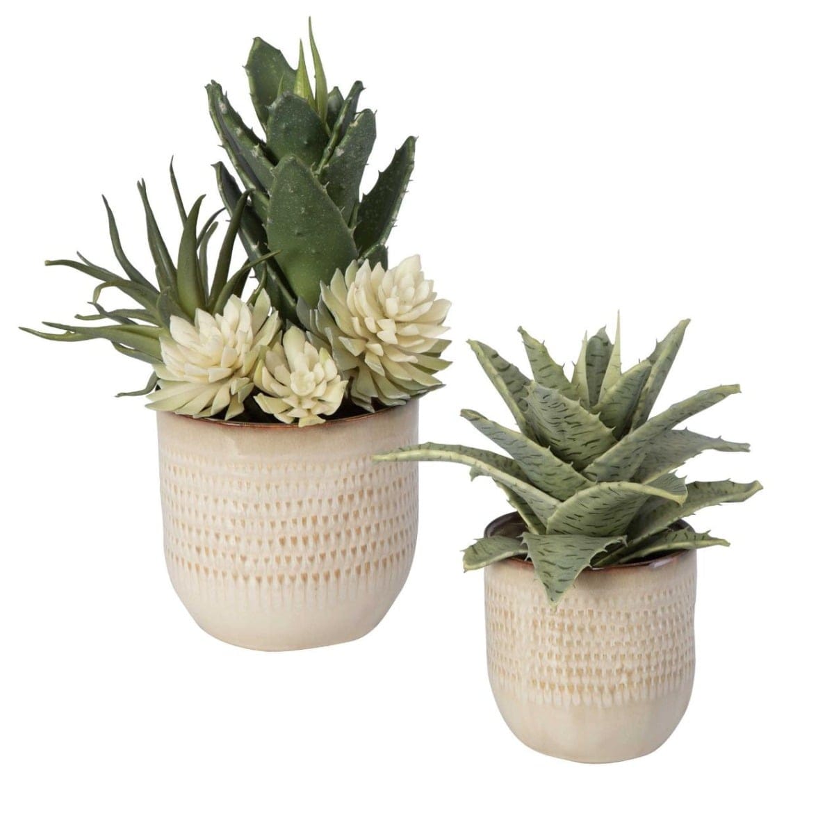Uttermost Accessories Seaside Succulents | Set of 2 House of Isabella UK