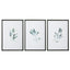 Uttermost Accessories Simple Sage Watercolor Prints, S/3 House of Isabella UK