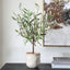 Uttermost Accessories Solea Olive Accent and Textured Vase House of Isabella UK