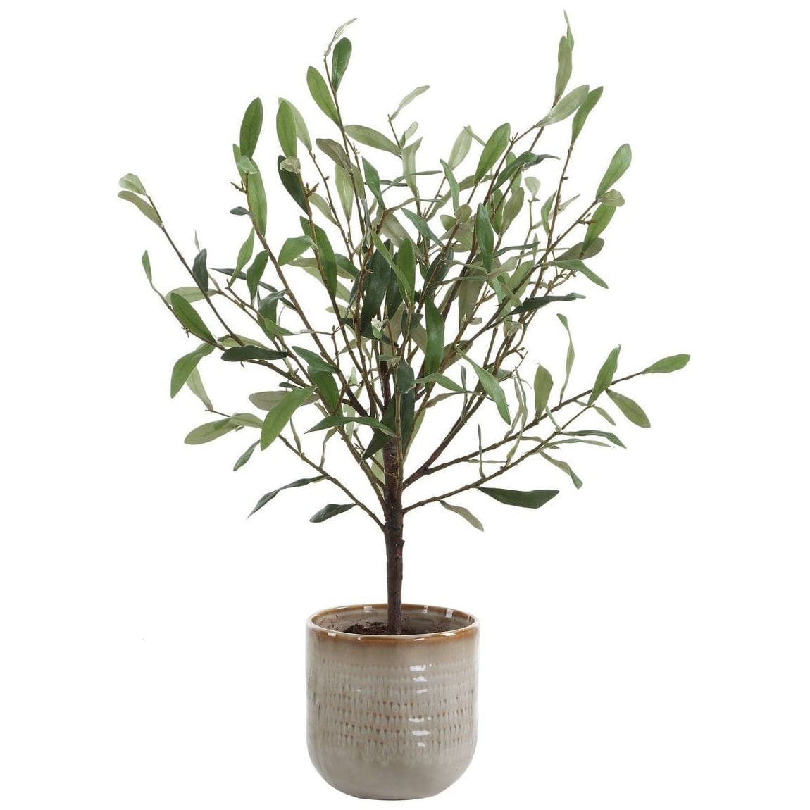 Uttermost Accessories Solea Olive Accent and Textured Vase House of Isabella UK