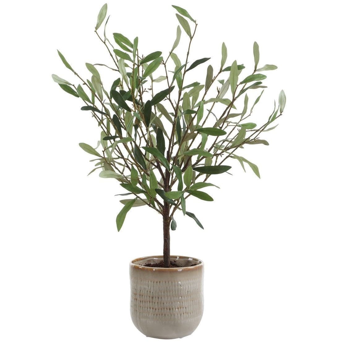 Uttermost Accessories Solea Olive Accent and Textured Vase House of Isabella UK