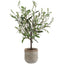 Uttermost Accessories Solea Olive Accent and Textured Vase House of Isabella UK