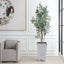 Uttermost Accessories Sonora Olive Tree In Planter House of Isabella UK