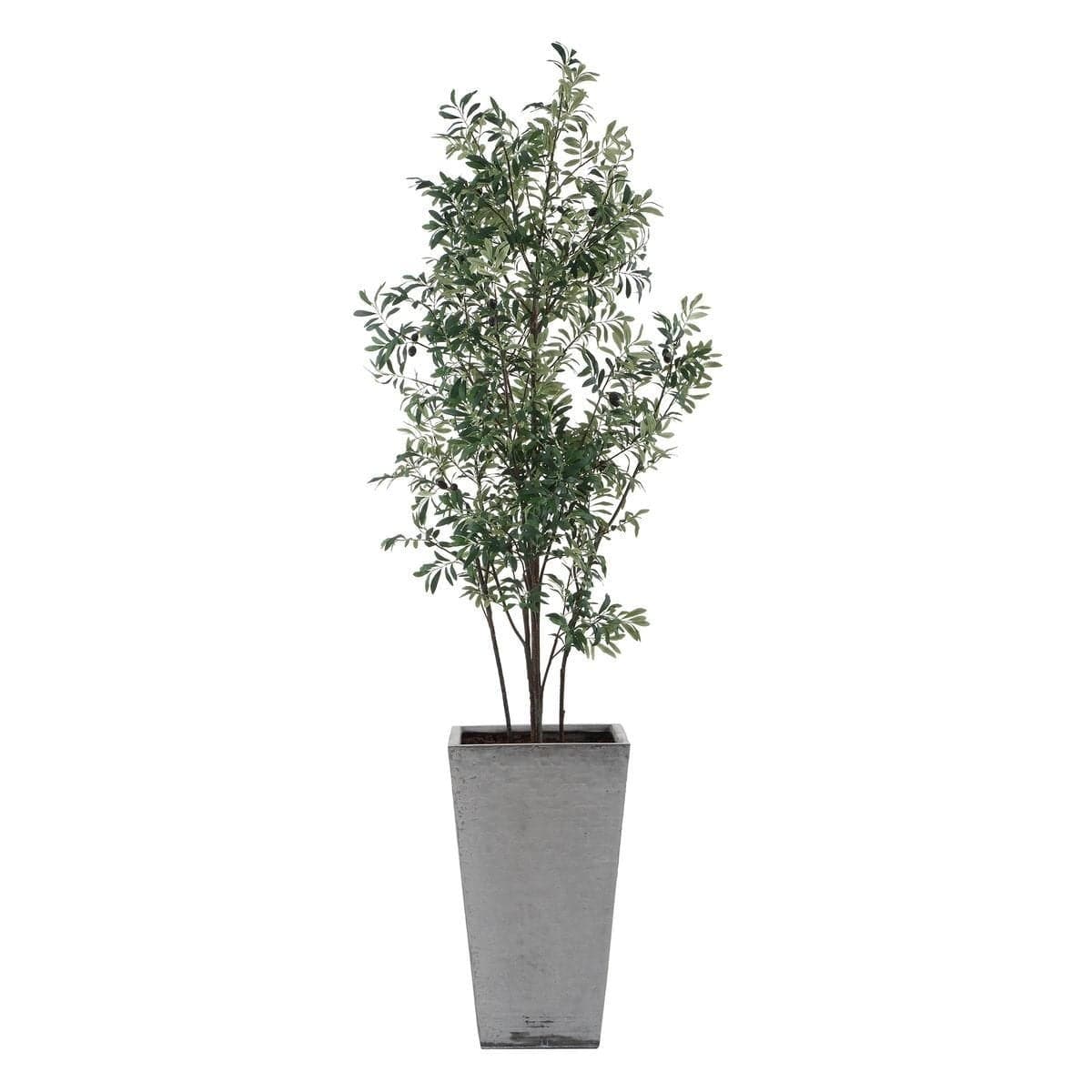 Uttermost Accessories Sonora Olive Tree In Planter House of Isabella UK