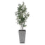 Uttermost Accessories Sonora Olive Tree In Planter House of Isabella UK