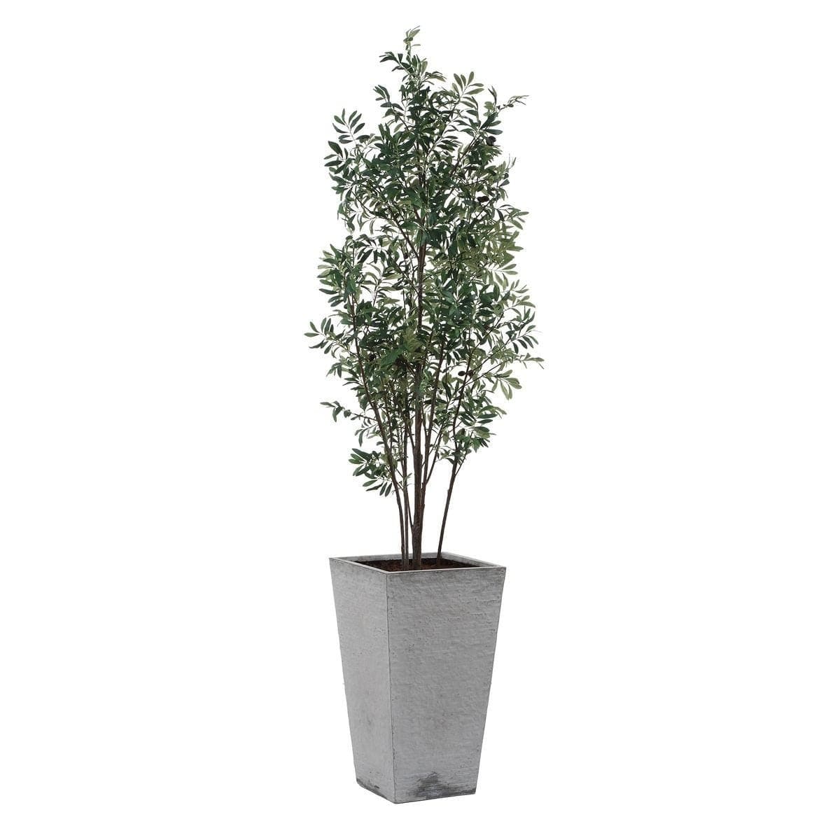 Uttermost Accessories Sonora Olive Tree In Planter House of Isabella UK